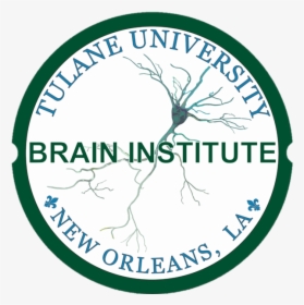 Tulane Brain Institute Logo, HD Png Download, Transparent PNG
