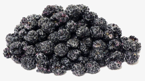 Black Raspberries Png Transparent Image - Black Raspberries Vs Mulberries, Png Download, Transparent PNG