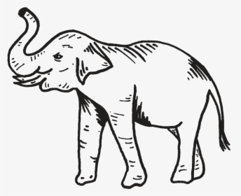 Indian Elephant, HD Png Download, Transparent PNG
