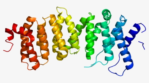 Protein Ppp2r5d Pdb 2jak, HD Png Download, Transparent PNG