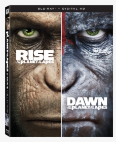 Rise Of The Planet Of The Apes Blu Ray, HD Png Download, Transparent PNG