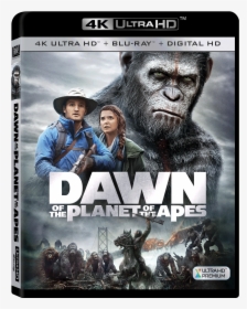 Ape Of The Planet 4k Blu Ray, HD Png Download, Transparent PNG