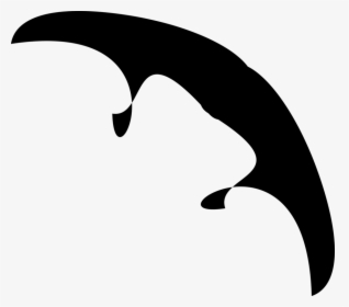 Dolphins And Porpoises, HD Png Download, Transparent PNG
