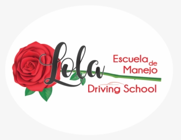 Home - Lola Escuela De Manejo, HD Png Download, Transparent PNG