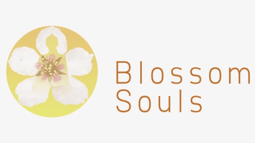 Blossom Souls Logo - Holly Hobbie, HD Png Download, Transparent PNG