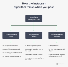 How The Instagram Algorithm Works When You Post - Instagram Algorithm Works, HD Png Download, Transparent PNG