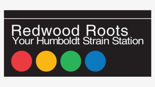 Redwood Roots - Circle, HD Png Download, Transparent PNG