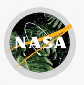 Aesthetic Nasa Logo, HD Png Download, Transparent PNG