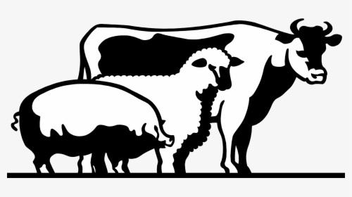 4 H Livestock Of Clipart - Livestock Clipart, HD Png Download, Transparent PNG
