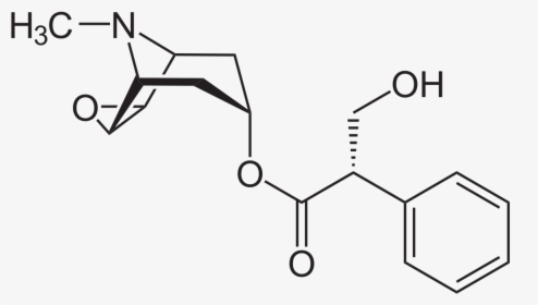 Scopolamine Chemical Structure, HD Png Download, Transparent PNG