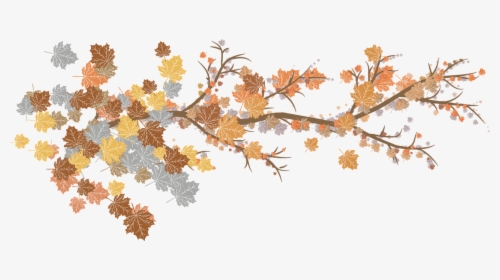 Leaves, Branches, Autumn, Nature, Plant, Botany, Garden - Fall Branches Png, Transparent Png, Transparent PNG