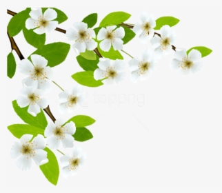 Free Png Download White Spring Branch Png Images Background - Good Morning Quotes On Respect, Transparent Png, Transparent PNG
