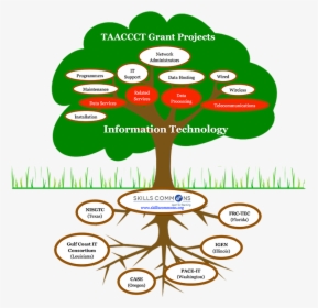 Select Grant Projects In Information Technology - Cartoon Trees With Roots, HD Png Download, Transparent PNG
