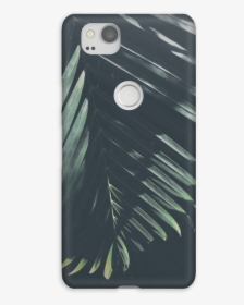 Palm Tree Sunshine - Iphone, HD Png Download, Transparent PNG