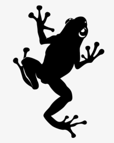 Cropped 48412937 1070201693151715 2213861293817856000 - True Frog, HD Png Download, Transparent PNG
