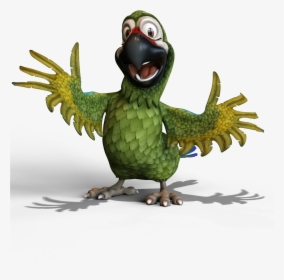 Parrot, HD Png Download, Transparent PNG