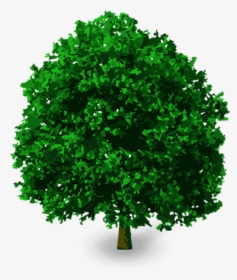 Tree Without Background Png - Transparent 3d Tree Png, Png Download, Transparent PNG