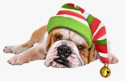 Cartoon Dog Christmas - Dog, HD Png Download, Transparent PNG