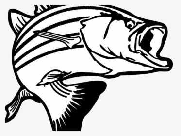 Transparent Background Fish Clipart, HD Png Download, Transparent PNG