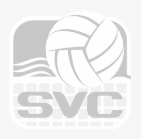 Parntner Logos-12 - Cartoon Volleyball, HD Png Download, Transparent PNG