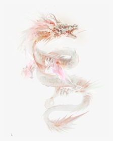 Fantasy White Fur Dragon, HD Png Download, Transparent PNG