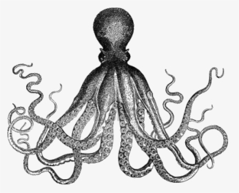 Octopus Antique Kraken Clip Art - Vintage Clip Art, HD Png Download, Transparent PNG