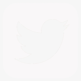 Twitter Logo Button Current Twitter Logo - White Twitter Logo Square, HD Png Download, Transparent PNG