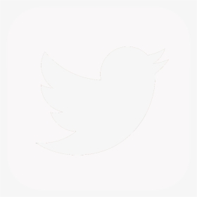 Twitter Png Logo Twitter Round Icon White Transparent Png Transparent Png Image Pngitem