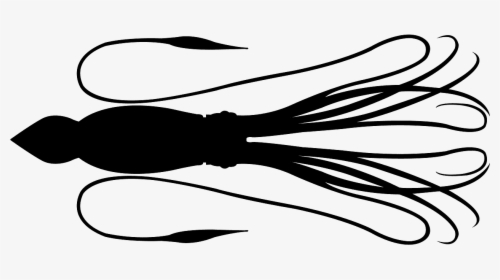 Giant Squid Silhouette, HD Png Download, Transparent PNG