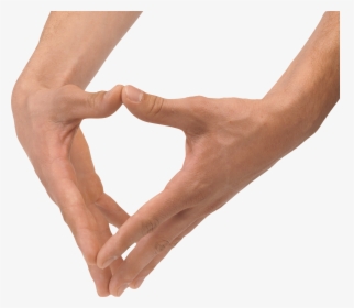 Hands Png, Hand Image Free, Transparent Png, Transparent PNG