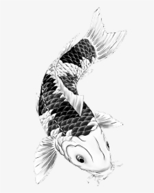 #tattoo #irezumi #fish #blackart #yakuza #ninja #backtattoo, HD Png Download, Transparent PNG