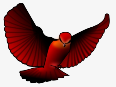 Beak,wing,bird, HD Png Download, Transparent PNG
