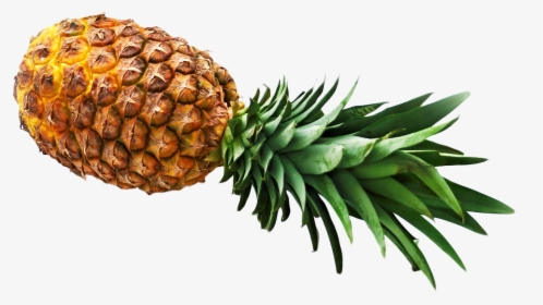 Pineapple Png Image, Transparent Png, Transparent PNG