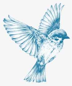 Vintage Blue Bird, HD Png Download, Transparent PNG