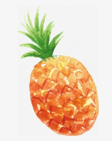 Fruits Transparent Pineapple, HD Png Download, Transparent PNG
