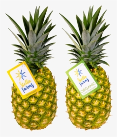 Transparent Gold Pineapple Png, Png Download, Transparent PNG