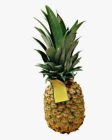 High Definition Pineapple Png Picture Download, Transparent Png, Transparent PNG