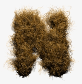 Hay Fur Font, HD Png Download, Transparent PNG