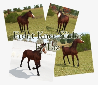Image, HD Png Download, Transparent PNG