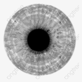 Eye Iris Png, Transparent Png, Transparent PNG