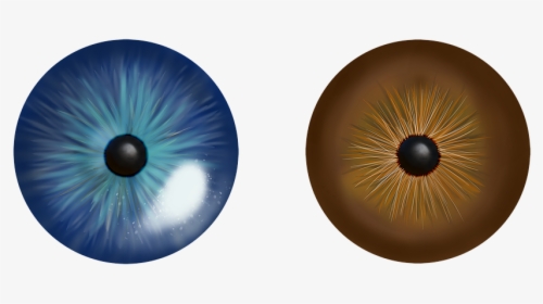 Eye, Iris, Blue, Fish Eye, Macro, Eyes, Cat Eye, HD Png Download, Transparent PNG