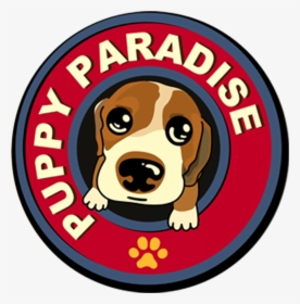 Puppy Paradise, HD Png Download, Transparent PNG