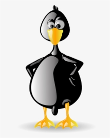 Penguin, Tux, Animal, Bird, Black, Beak, Zoo, Linux, HD Png Download, Transparent PNG