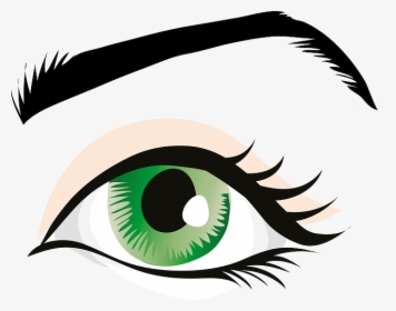 Green Eyes, Eyelid, Iris, Eyebrows, Brows, Seeing, HD Png Download, Transparent PNG