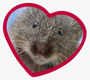 Pointing At You Png, Transparent Png, Transparent PNG