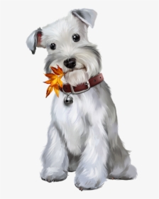 Chiens Puppies Wallpapers Clip, HD Png Download, Transparent PNG