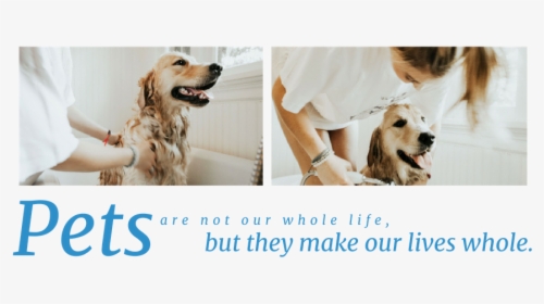 Pets Are Not Our Whole Life But They Make Our Lives, HD Png Download, Transparent PNG