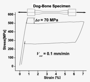 White Dog Bone Png, Transparent Png, Transparent PNG