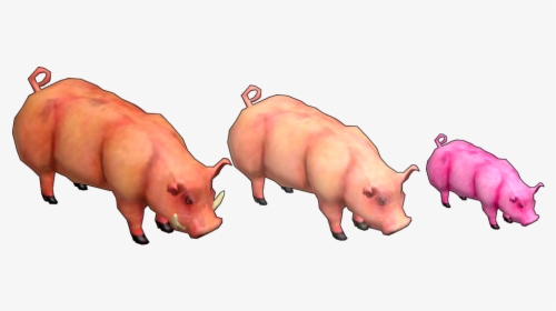 Pig Roast Png, Transparent Png, Transparent PNG