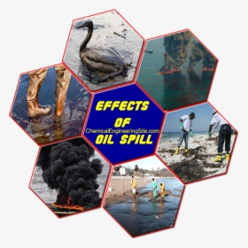 Oil Spill, HD Png Download, Transparent PNG